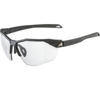 Alpina Lunettes de Sport Twist Six HR V noir