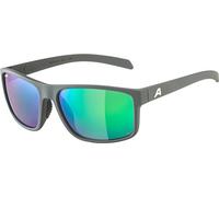 ALPINA Nacan I P Lunettes de Soleil, Gris Nuit Mat, Taille Unique Mixte