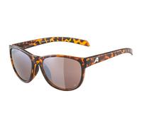 Alpina - Nacan II Polarized S3 - Lunettes de soleil - havana gloss / silver