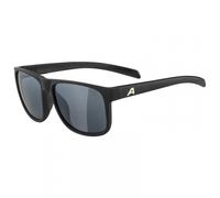 ALPINA Unisexe - Adultes, NACAN III lunettes de soleil, black matt/black, One Size