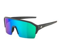 Alpina - Ram HR HM+ Hicon Mirror Cat 3 - Lunettes vélo - black matt / q-lite green mirror