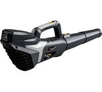 ALPINA Outdoor ABL 20 Li sans fil 271504104/A21 Aspirateur 230 V