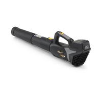 ALPINA Outdoor ABL 20 Li sans fil 271504104/A21 Aspirateur 230 V