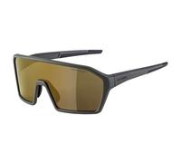 Alpina Sports Ram Hm+ Lunettes De Cyclisme Cer afé