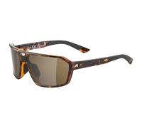 Alpina - Swift S3 - Lunettes de soleil - havana gloss / smoke black