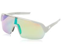 ALPINA Turbo HR Lunettes de Soleil, Gris (Gris fumé Mat), Taille Unique Mixte