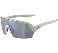 Alpina Sports Lunettes de soleil Turbo HR Gris Unisexe Taille unique