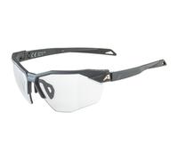 Alpina Lunettes de Sport Twist Six HR V gris