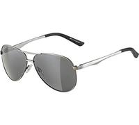 ALPINA Unisexe - Adultes, A 107 Lunettes de soleil, titanium matt, One Size