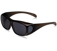 ALPINA Unisexe - Adultes, OVERVIEW Lunettes de soleil, black transparent gloss, One Size