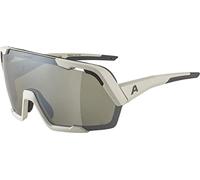 ALPINA Unisexe - Adultes, ROCKET BOLD Q-LITE lunettes de sport, cool-grey matt/silver, One Size