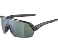 Alpina Turbo HR Q-Lite Lunettes de soleil Taille unique Argent
