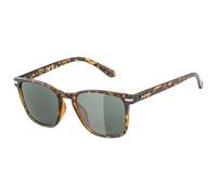 Alpina - Yefe S3 - Lunettes de soleil - havana gloss / black