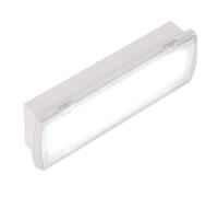 Alpinaluz Lampe d’Urgence LED Étanche AutoTest 5W 520lm - IP54 - 3h Autonomie - Encastrée ou en Saillie - Modes Permanent/Non Permanent avec Bouton de Test et Voyants Lumineux