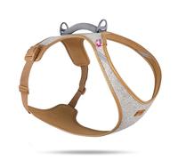 Alpine Belka Harness Gray 2XL