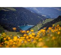 Alpine Valley - Jeu de Puzzle de 8000 pièces pour Adultes - Idéal pour la Relaxation, la méditation et Le Jeu éducatif (14 Ans et Plus)