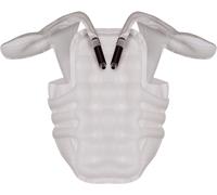 alpinestars Kit Tech-Air Type IV x2 unisex