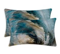Alricc Lot de 2 housses de coussin décoratives carrées douces pour canapé, sofa, chambre à coucher, 30,5 x 50,8 cm, peinture d'art abstrait, bleu sarcelle et noir
