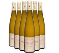 Alsace Riesling - Blanc 2022 - Domaine Baumann-Zirgel - Vin Blanc d' Alsace (6x75cl) Biodynamie