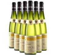 Alsace Sylvaner Réserve - Blanc 2023 - Marcel Hugg - Vin Blanc d' Alsace (6x75cl)