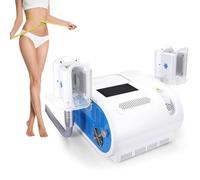 ALSUP Cryolipolyse Amincissant la Machine, Cryolipolyse Machine de Congélation des Graisses, Machine d'Amincissement par Gel, Instrument de Cryolipolyse de Lipolyse des Graisses