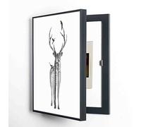 ALSUPEU Boîte de Compteur électrique Peinture décorative,Cacher Le Comptoir Couvercle, Couvrir La Décoration Tableau Électrique Cacher Peintures Couvercle Simple Décoration de Comptoirs,011,W50*H60cm