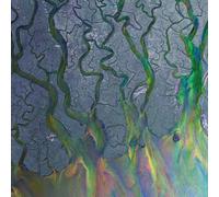 ALT-J - AN AWESOME WAVE WHITE VINYL VINYL LP NEUF