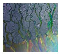 Alt-J - Une Vague Géniale