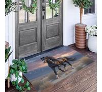 ALTCIRNMD 3D Destrier du Crépuscule Animaux du Désert Sol Porte Cuisine Bain Tapis Anti-Dérapant Extérieur Paillasson Salon Salon Entrée Tapis Tapis Repose-Pieds