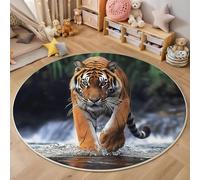 ALTCIRNMD Rond Tapis Intérieur Blanc Brunâtre Tigre De La Rive 140Cm Doux Et Antidérapant,Moquette Animaux du Paysage Imprimé 3D pour Salon Chambre L'Entrée Décoration De Salle De Jeux pour Enfants