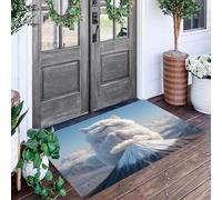 ALTCIRNMD Tapis D'Entrée De Porte Paillasson Blanc Chat du Mont Fuji Chambre À Coucher Jardin Arrière Salon Animaux Fantastiques Anti-Dérapant Sol Decorroom Décoration De La Maison,60X90Cm