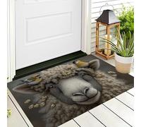 ALTCIRNMD Tapis D'Entrée De Porte Paillasson Blanc Rosé Mouton Chardonneret Chambre À Coucher Jardin Arrière Salon Animaux Mignons Anti-Dérapant Sol Decorroom Décoration De La Maison,40X60Cm