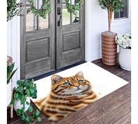 ALTCIRNMD Tapis D'Entrée De Porte Paillasson Couleur Orange Chat Tigré Mignon Chambre À Coucher Jardin Arrière Salon Animaux Illustrés Anti-Dérapant Sol Decorroom Décoration De La Maison,50X80Cm