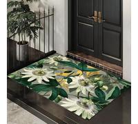 ALTCIRNMD Tapis Entree Interieur Antidérapant, Feuilles De Passiflore Illustrations Fraîches Paillasson Exterieur Entree Lavable en Machine,Microfibre Absorbante Tapis Entrees Exterieur, 80X120Cm