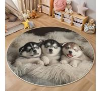 ALTCIRNMD Tapis Rond Couverture Husky Lavable en Machine,Animaux Mignons 3D Noir Et Blanc Interieur Anti Slip pour Aalon,Chambre Coucher,Entrée,Décoration D'Intérieur,Protections De Sol,100Cm