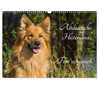 Altdeutsche Hütehunde - Fast vergessen (Wandkalender 2026 DIN A3 quer), CALVENDO Monatskalender: An den Schafherden findet man sie noch immer, aber ... und Familienhunde - Altdeutsche Hütehunde