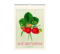 Alte Obstsorten. Wandkalender 2027: Mit 13 historischen Abbildungen