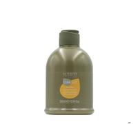 Alterego Cureego Silk Oil Shampoo 300ml - Shampooing Effet Soie