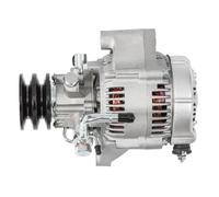 HELLA Alternateur 8EL 012 428-041 14V 70A avec poulie double