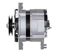 Alternateur Générateur 12 V 55 A Ø 82 Mm HELLA Pour Entre Autres FIAT 400