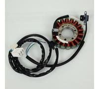 Alternateur Rms Pour Maxi Scooter Yamaha 500 Xp T-Max 2008 À 2011 Neuf