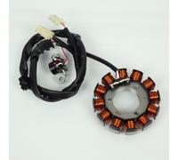 Alternateur Rms Pour Scooter B74h14100000 Neuf