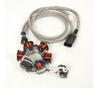 Alternateur Stator Allumage Pour Scooter Piaggio 125 Vespa Et4 1998-2005 6 Bobine