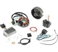 Alternateur + système d'allumage TS250 (4 vitesses + 5 vitesses) 12V 150W