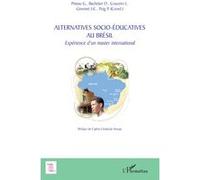 Alternatives socio-éducatives au Brésil Gaston Pineau (Auteur), P. Puig (Auteur), J-C Gimonet (Auteur), L. Couceiro (Auteur), D. Bachelart (Auteur)