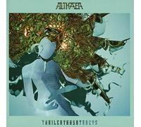 Domino – Althaea
