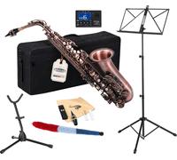 Alto Saxophone Instrumen a Vent Sax Set Support Pupitre Accordeur Etui Embout