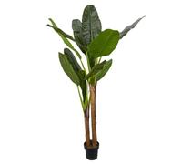 AltoBuy Bananier XXL Artificiel en polyéthylène Hauteur 160cm