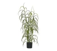 AltoBuy Dracaena décoratif Artificiel Hauteur 68cm - CAENA