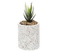AltoBuy Plante grasse Artificielle en polyéthylène dans Un Pot Effet terrazzo
